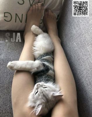 欧美另类日韩中文色综合_BD韩语高清在线